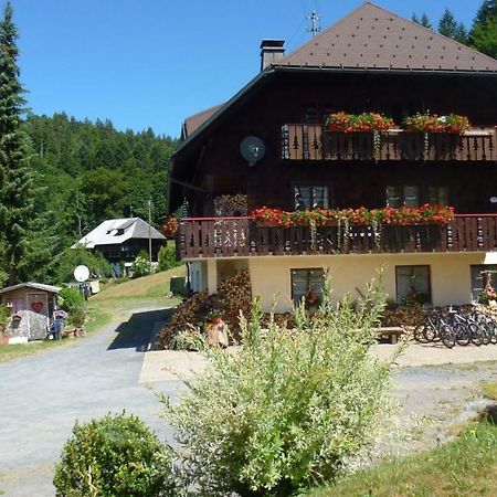 Haus Biehler Apartment Todtmoos Exterior photo
