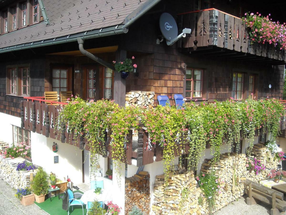 Haus Biehler Apartment Todtmoos Exterior photo