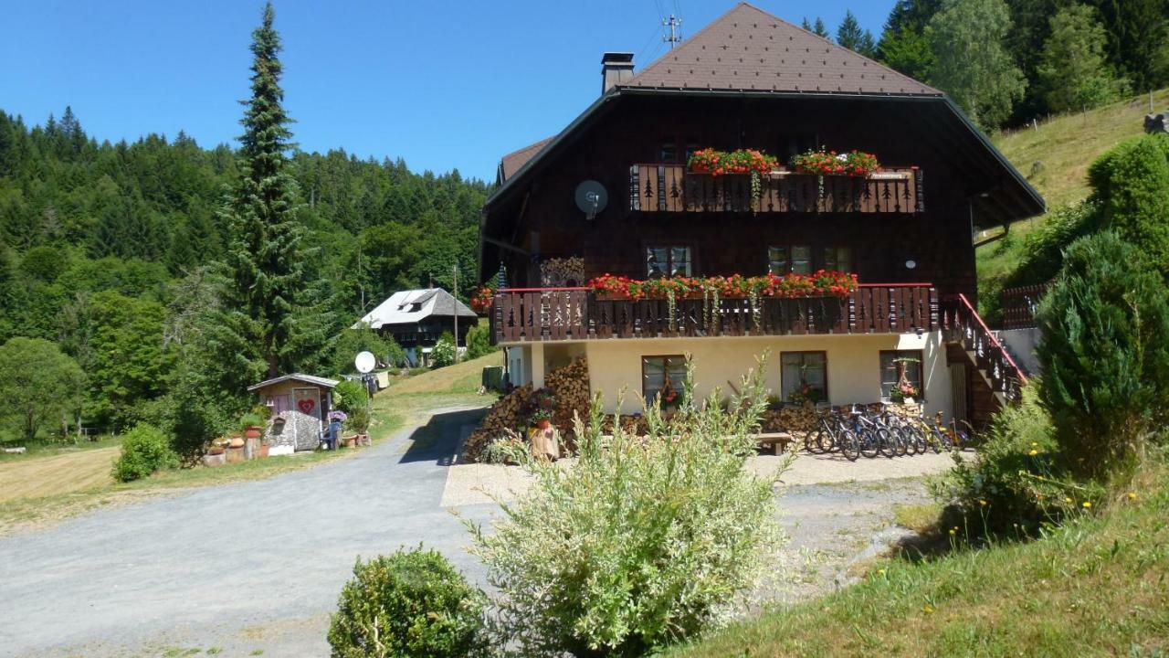 Haus Biehler Apartment Todtmoos Exterior photo